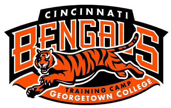 Cincinnati Bengals 1997-Pres Special Event Logo DIY iron on transfer (heat transfer)